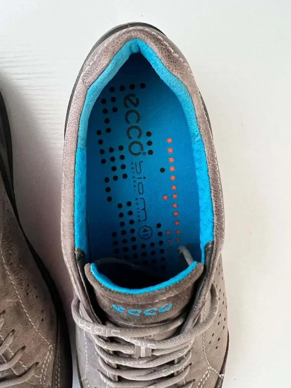Ecco biom grip